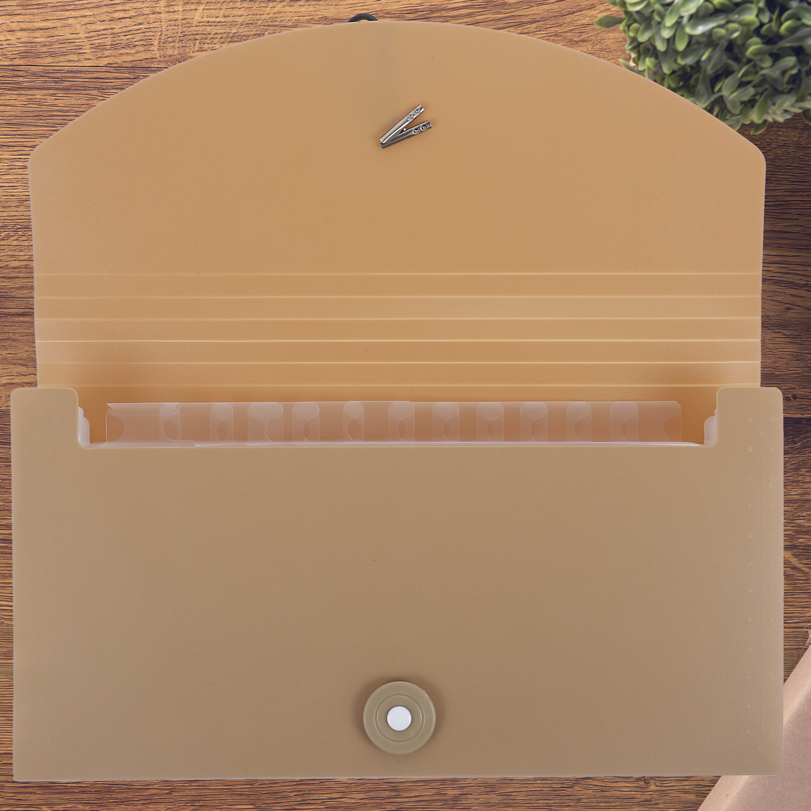 13-Pocket Expanding File Folde - Expandable Accordion File Folder 13 Pockets 评论和价格
